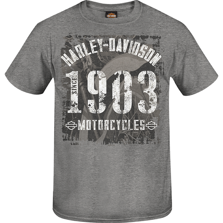 Tee-shirt – Harley-Davidson FWI